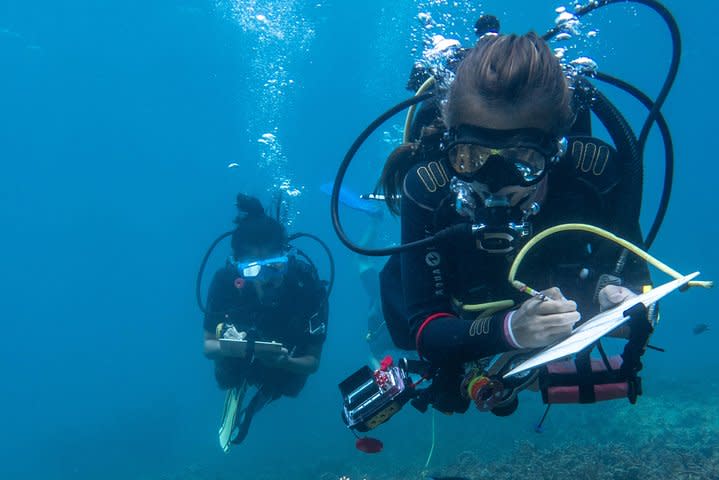 Two divers with clipboards and styluses take notes during a dive underwater.