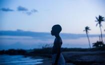 <p>Barry Jenkins bewegendes Coming-of-Age-Drama ist heißer Anwärter für die Oscars und das wohlverdient. Ein Junge kommt im Lauf von drei Akten und drei Zeitphasen mit seiner Homosexualität und seiner Männlichkeit ins Reine. Zu den Darstellern zählen Naomie Harris, Mahershala Ali und Janelle Monáe. Bild: Altitude </p>