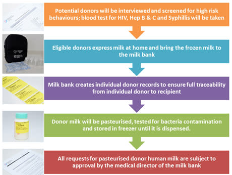 The collection process for donor breast milk. (IMAGE: KKH / Temasek Foundation Cares)