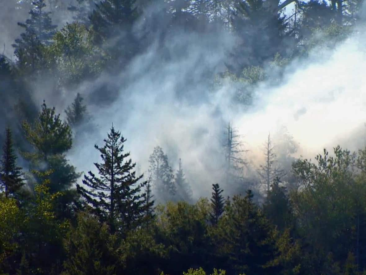 Smoke rising from a forest fire in the Saint Andrews area on Monday. (Roger Cosman/CBC - image credit)