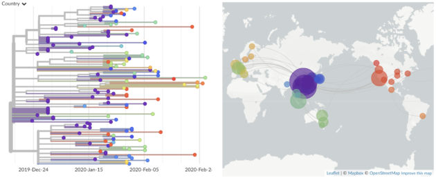 Coronavirus evolutionary tree and map