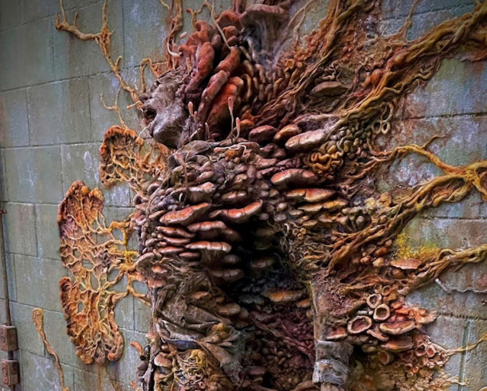 In this behind the scenes shot, one of ‘the infected’ from HBO’s The Last of Us is plastered to the wall by what looks like giant slime moulds. <a href="https://www.instagram.com/p/CnfLqb9KGYL/" rel="nofollow noopener" target="_blank" data-ylk="slk:@barriegower/Instagram;elm:context_link;itc:0;sec:content-canvas" class="link ">@barriegower/Instagram</a>