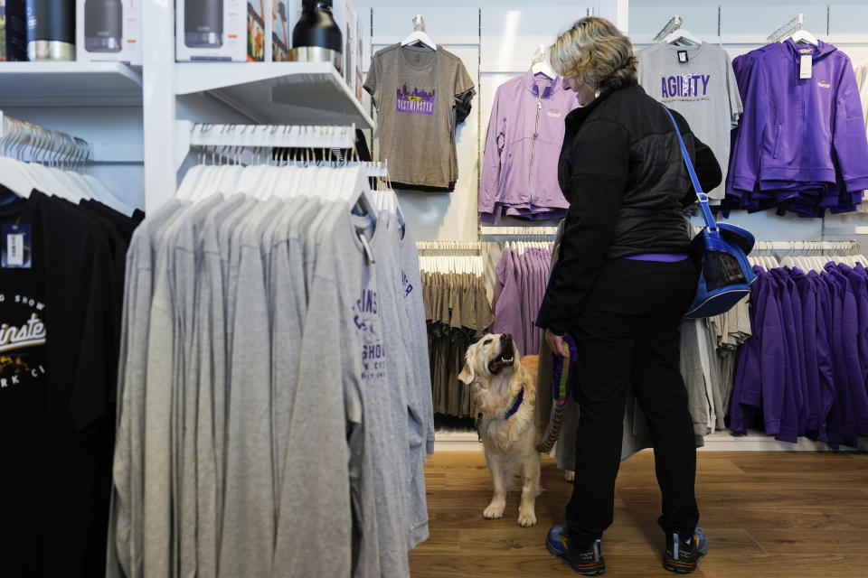 A woman shops with her dog during the 148th Westminster Kennel Club Dog show, Saturday, May 11, 2024, at the USTA Billie Jean King National Tennis Center in New York. (AP Photo/Julia Nikhinson)