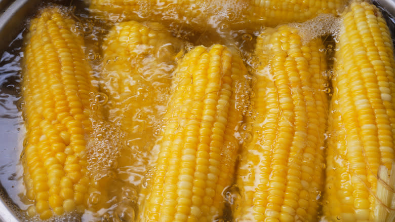 Corn cobs in water