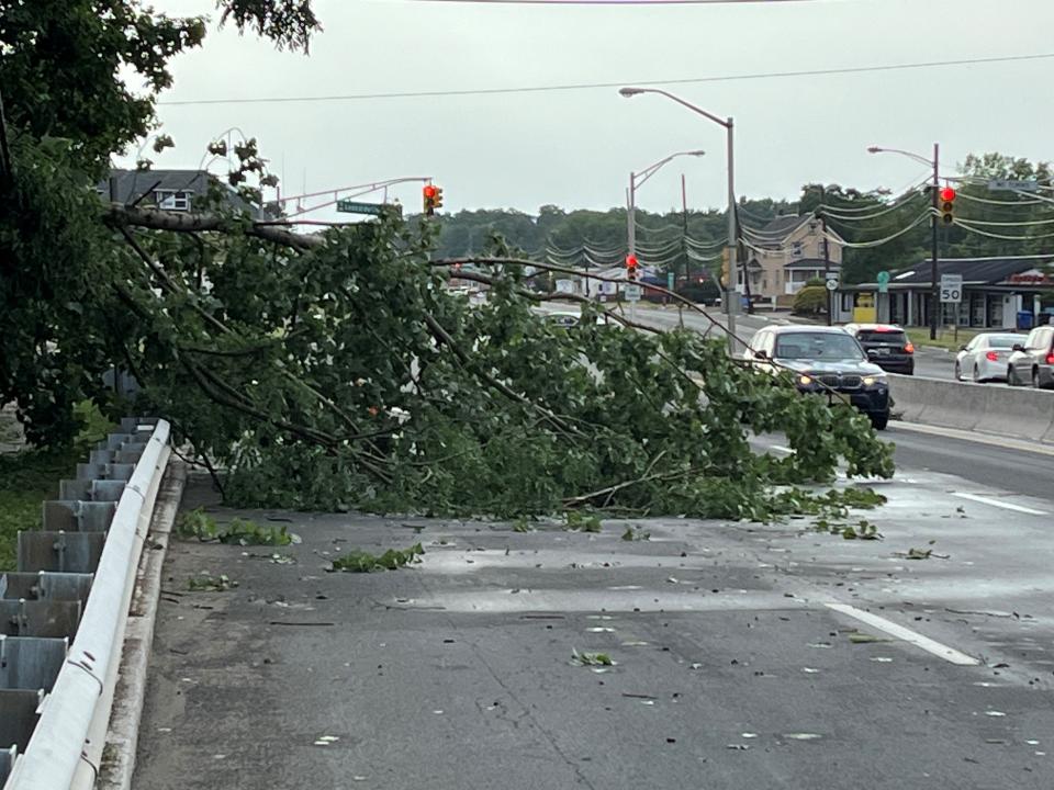 A powerful storm downed trees and branches in Atlantic Highlands Saturday.