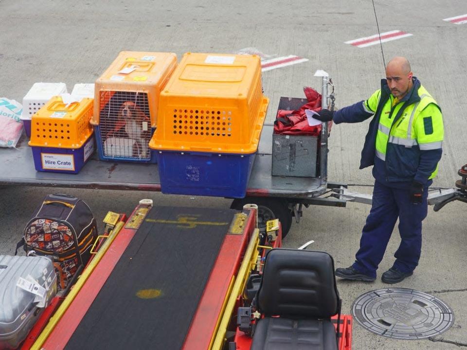 Cargo handler with pet crates