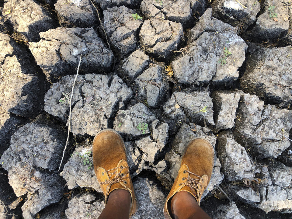 In this photo taken on Sunday, Oct. 27, 2019, a man stands on a sun baked pool that used to be a perennial water supply in Mana Pools National Park, Zimbabwe. An estimated 45 million people are threatened with hunger due to a severe drought that is strangling wide stretches of southern Africa. International aid agencies said they are planning emergency food deliveries for parts of South Africa, Zambia, Zimbabwe and other countries hard hit by a combination of low rainfall and high temperatures as summer approaches in the southern hemisphere. (AP Photo/Tsvangirayi Mukwazhi)