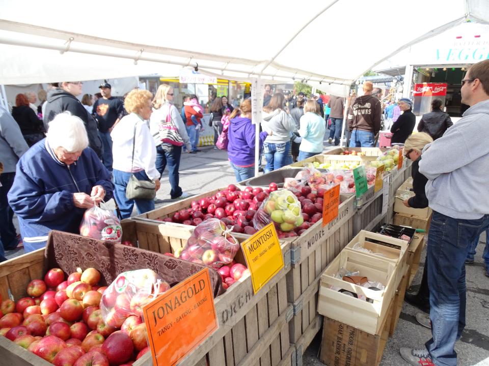All varieties of apples are available at the weekend festival.