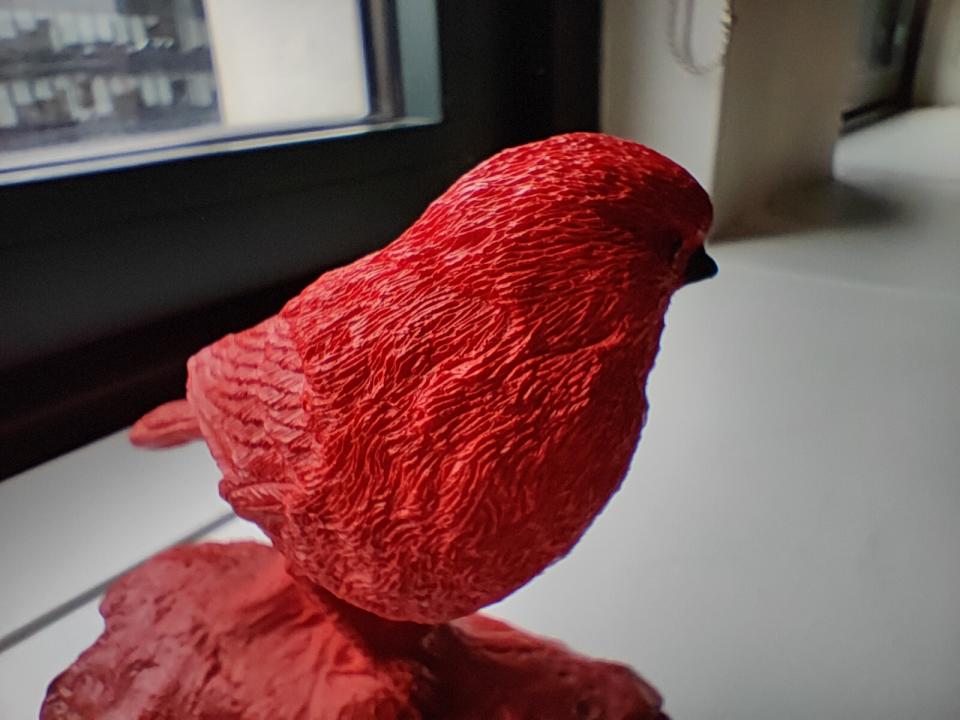 <p>The OP10T's macro cam has very touchy focus, which makes it difficult to capture sharp details like the ridges on this bird statue.</p>
