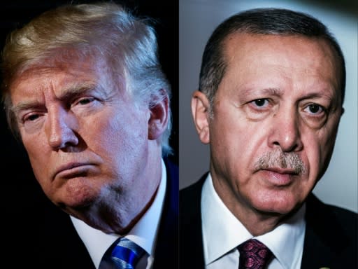 Trump's apparent green light to his Turkish counterpart has sparked a chorus of domestic and international criticism