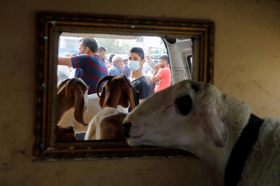 A boy wears a mask as sheep and goats are seen in a truck at a livestock market ahead of the Muslim festival of sacrifice Eid al-Adha, amid the coronavirus disease (COVID-19) crisis in Nablus in the Israeli-occupied West Bank July 27, 2020. REUTERS/Raneen Sawafta TPX IMAGES OF THE DAY