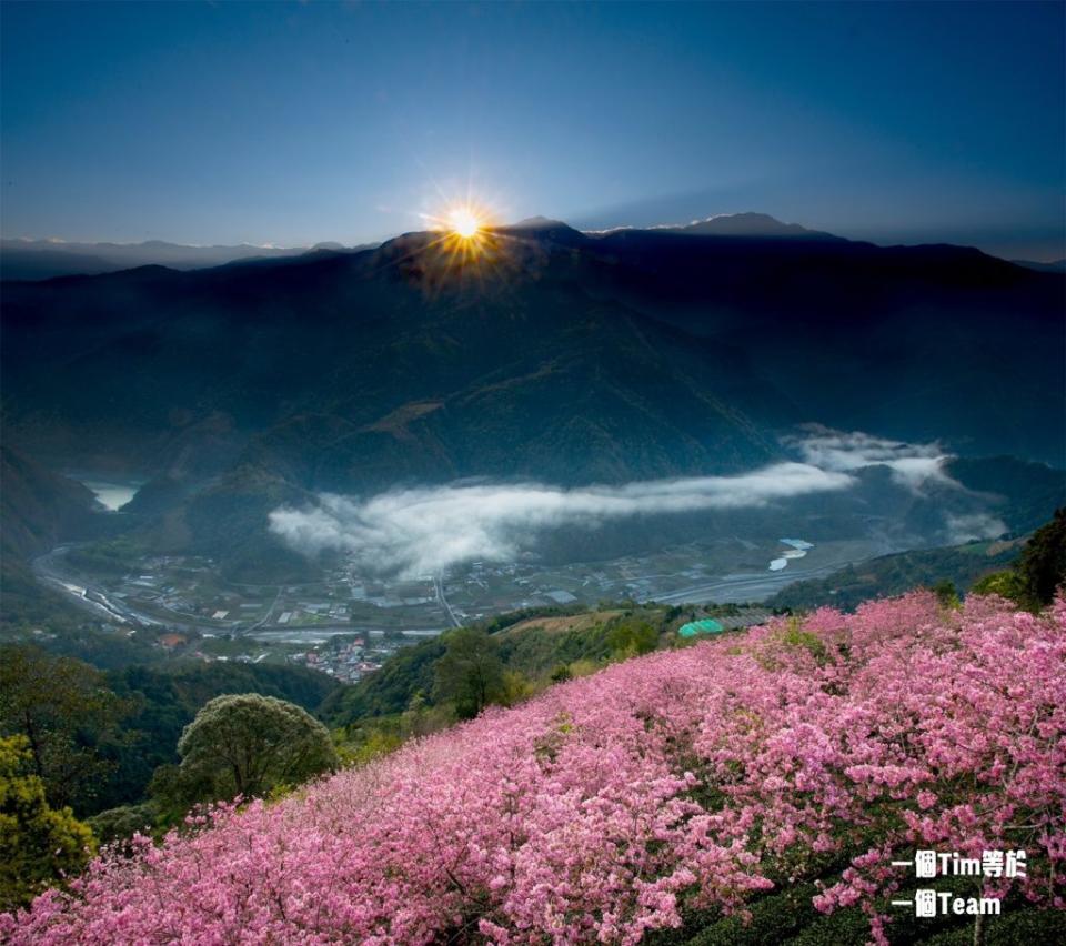 雲瀑裡的賞櫻秘境 武界部落海拔800公尺處的櫻海展望台