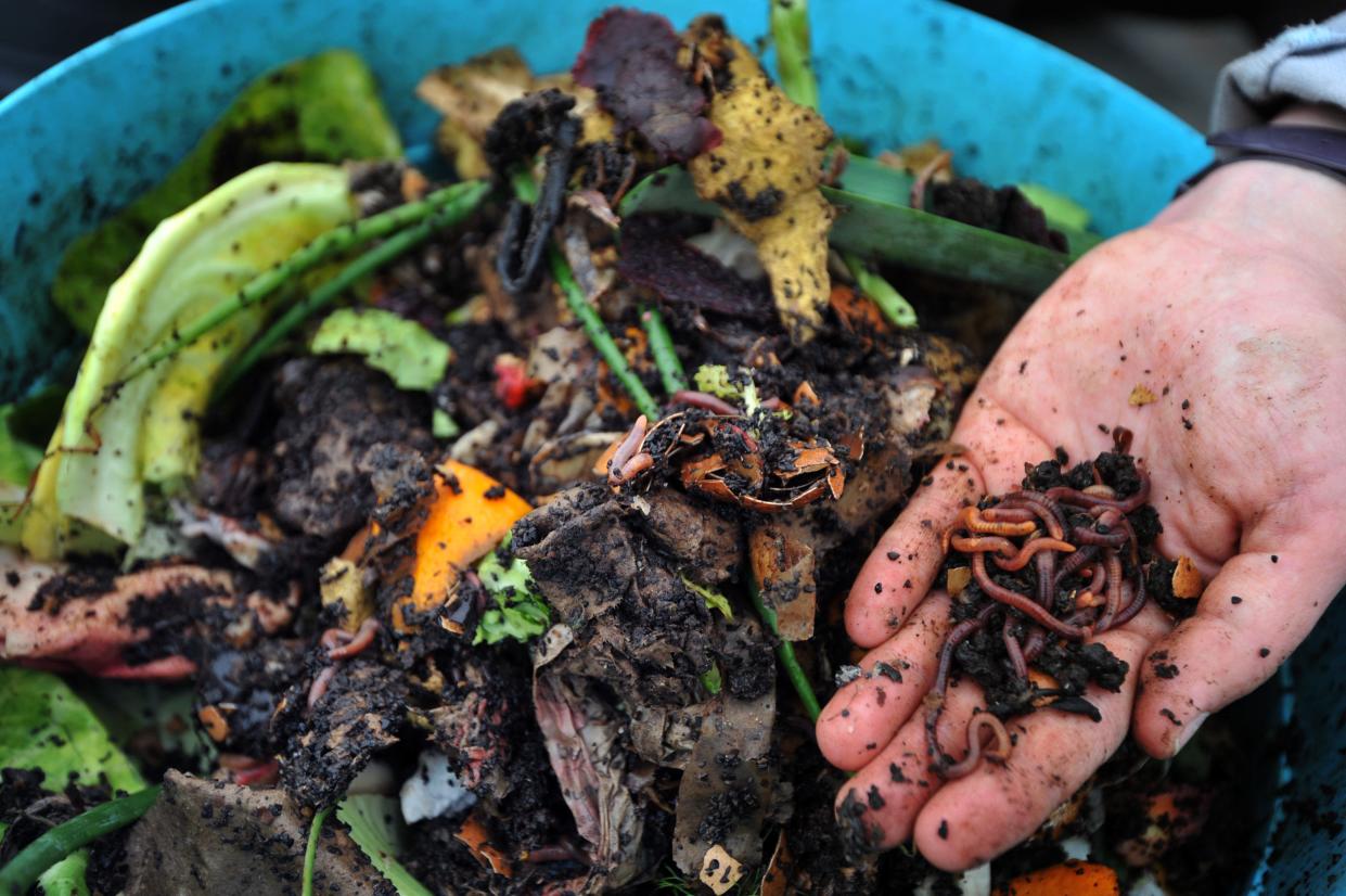 Unlike previous plastic alternatives, the new bioplastic from Michigan State University could decompose in home compost bins.