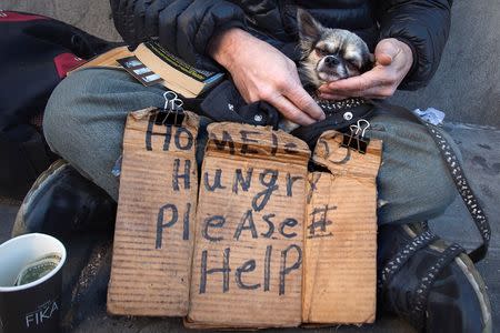 John Stewart caresses his dog Cuddles as he sits on 14th Street with a sign asking for help in New York October 27, 2014. REUTERS/Carlo Allegri