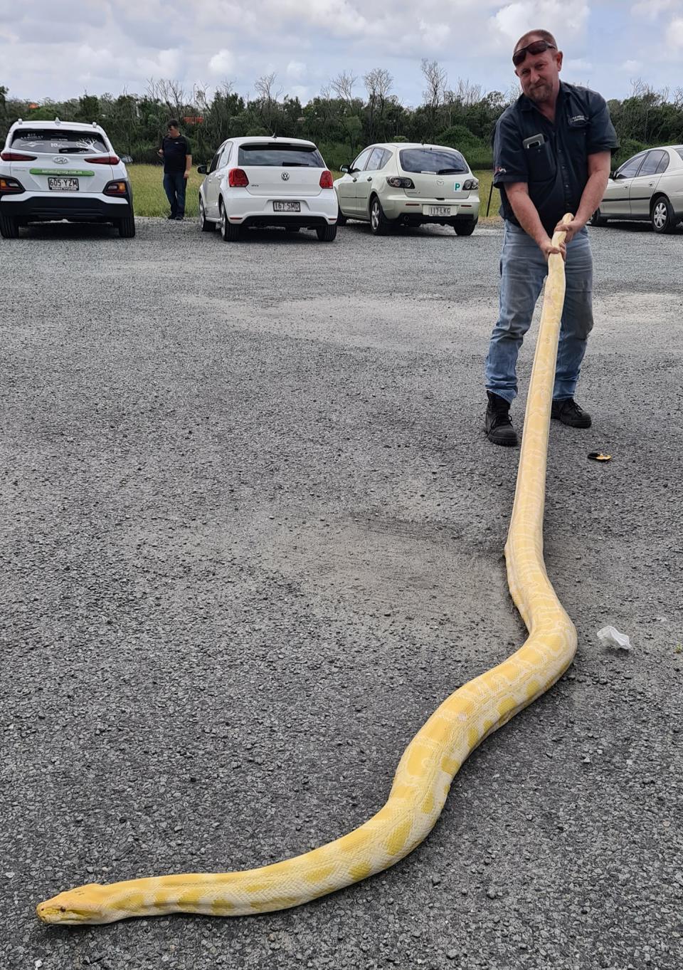 Tony Harrison is pictured with the snake. Source: Gold Coast and Brisbane Snake Catcher