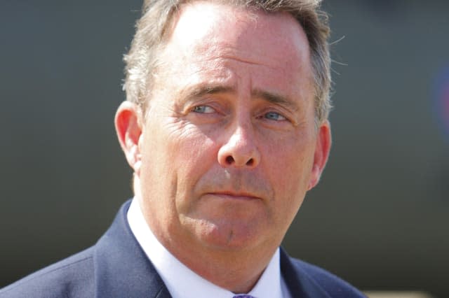 Liam Fox on air strikes