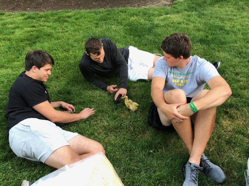 Patrick, Justin and Mitchell Herbert play with ducks at their family home. (Photo credit: Herbert family)