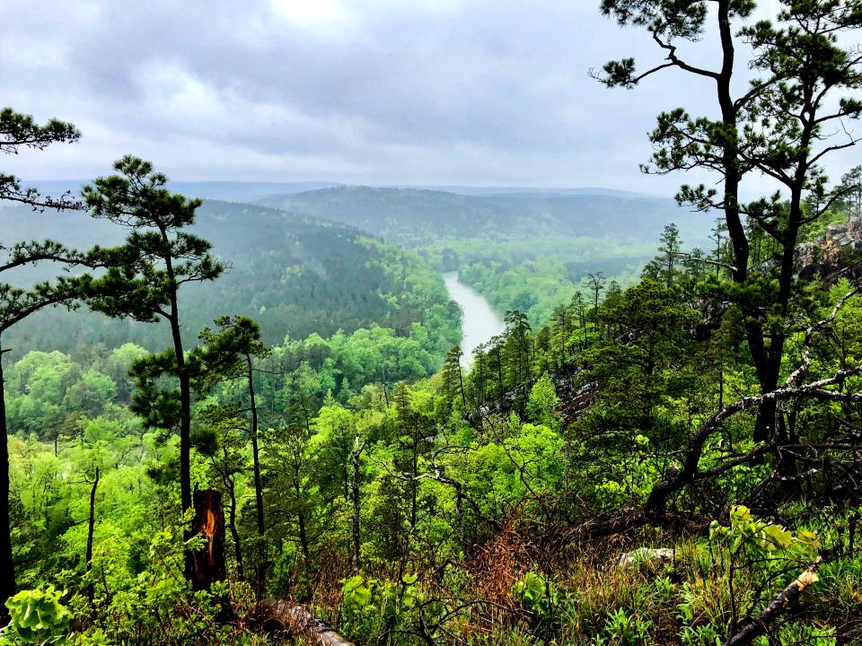 Steps have been taken to preserve forestland in southeast Oklahoma, an area that will become Oklahoma's first state forest.
