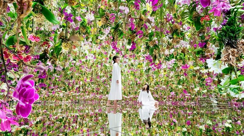 ▲「漂浮的花園 ── 花朵與我同根同源，花園與我合為一體」（圖/ teamLab）