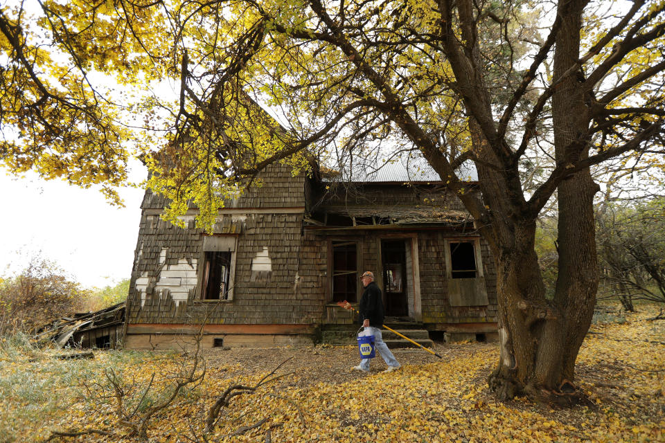 In this Oct. 28, 2019, photo, amateur botanist David Benscoter, of The Lost Apple Project, walks past an abandoned home on a remote homestead near Pullman, Wash., after collecting apples from the large orchard on the site. Benscoter and fellow botanist E.J. Brandt have rediscovered at least 13 long-lost apple varieties in homestead orchards, remote canyons and windswept fields in eastern Washington and northern Idaho that had previously been thought to be extinct. (AP Photo/Ted S. Warren)