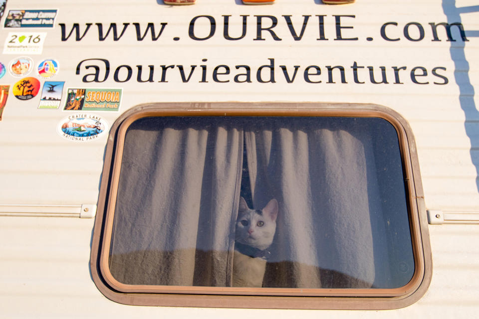 <p>When we go on longer hikes, or places that Vladimir isnt allowed, he stays behind and guards the RV for us. (Photo: Our Vie / Caters News) </p>