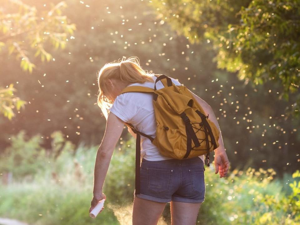 Im Sommer 2021 droht eine Mückenplage. (Symbolbild) (Bild: encierro/Shutterstock.com)