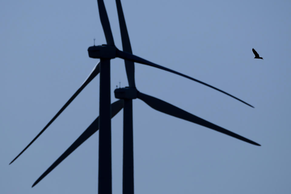 FILE - In this March 29, 2020, file photo, a bird flies among wind turbines near King City, Mo. The Trump administration is moving to scale back criminal enforcement of a century-old law protecting most American wild bird species. The former director of the U.S. Fish and Wildlife Service told AP billions of birds could die if the government doesn't hold companies liable for accidental bird deaths. (AP Photo/Charlie Riedel, File)