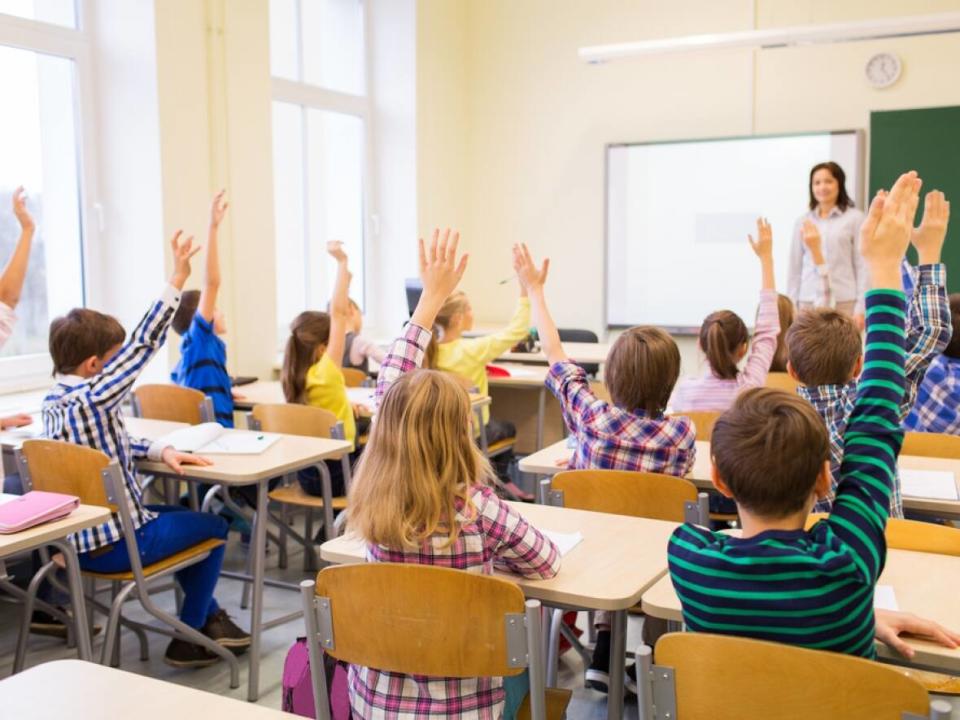 Based on the report, funding allocation, staff shortages and responsibilities that aren't clearly defined, contribute to insufficient support for students with learning difficulties. (Syda Productions/Shutterstock - image credit)