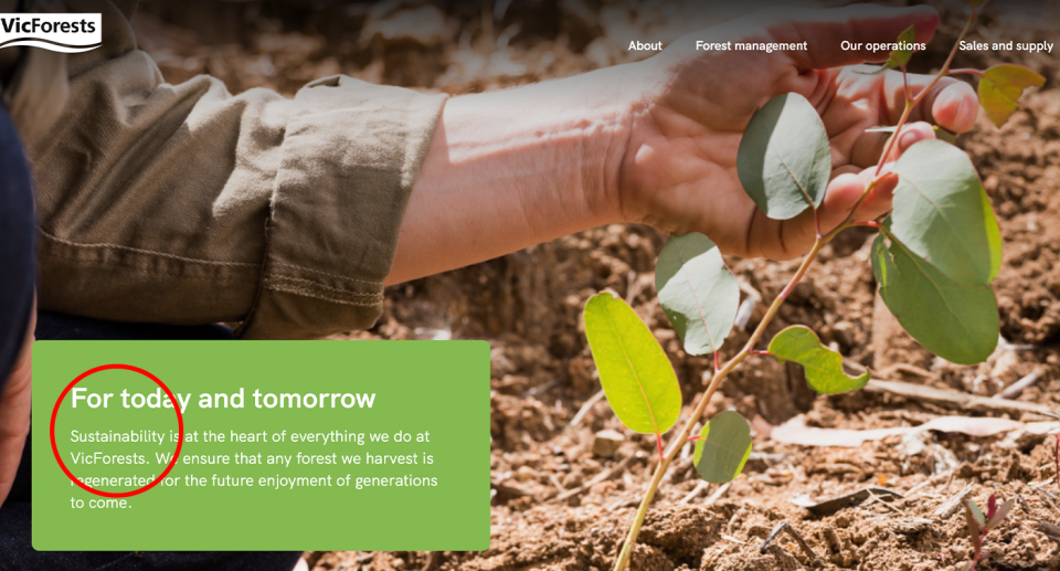A circle around the word sustainability on the VicForests webpage.