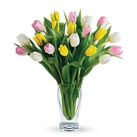 <p><a href="https://go.redirectingat.com?id=74968X1596630&url=https%3A%2F%2Fwww.teleflora.com%2Fbouquet%2Ftelefloras-tulip-treasure&sref=https%3A%2F%2Fwww.womenshealthmag.com%2Flife%2Fg43840994%2Fbest-mothers-day-flower-delivery-services%2F" rel="nofollow noopener" target="_blank" data-ylk="slk:Shop Now;elm:context_link;itc:0;sec:content-canvas" class="link ">Shop Now</a></p><p>Tulip Treasure</p><p>$69.99</p><p>teleflora.com</p>