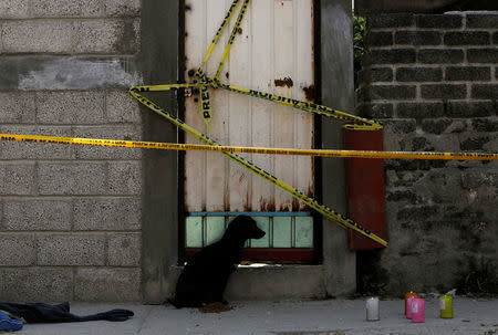 The pet of inhabitants killed at a house knocked by the car of a cargo train after it ran off the tracks waits at the door in the municipality of Ecatepec, on the outskirts of Mexico City, Mexico January 18, 2018. REUTERS/Daniel Becerril