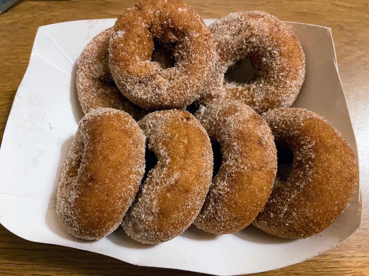 best state fair food new hampshire apple cider donuts