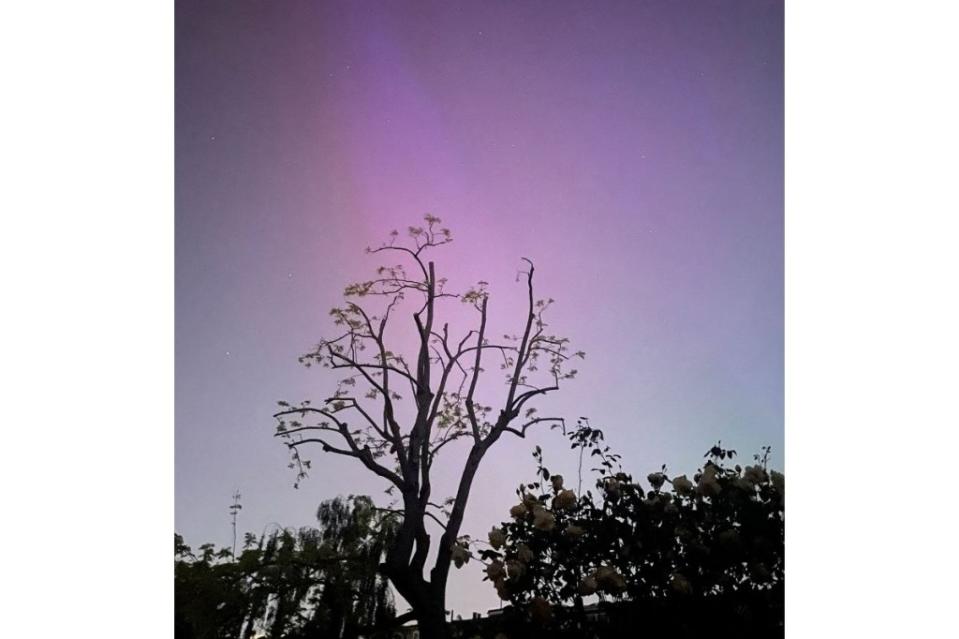 Una aurora boreal se observa en Londres, Inglaterra. (ROSANNA NORMANTON/AFP vía Getty Images)