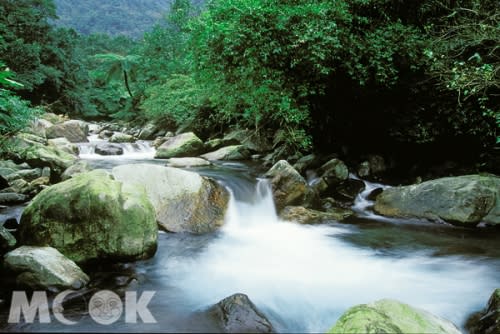 松羅國家步道內宛如一處不受打擾的人間仙境，讓造訪此地的旅客總是讚嘆不已，而且沿途河道生態豐富，訪客可走跨溪繩橋渡河，腳下就是生態豐富的松羅溪，河水湍急看來氣勢磅礡。（圖片提供／墨刻編輯部）