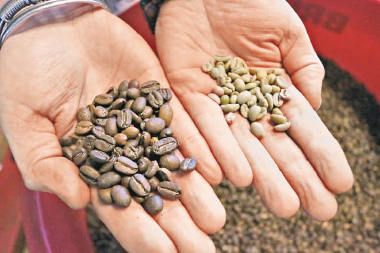 今年咖啡豆消耗料高於產量。