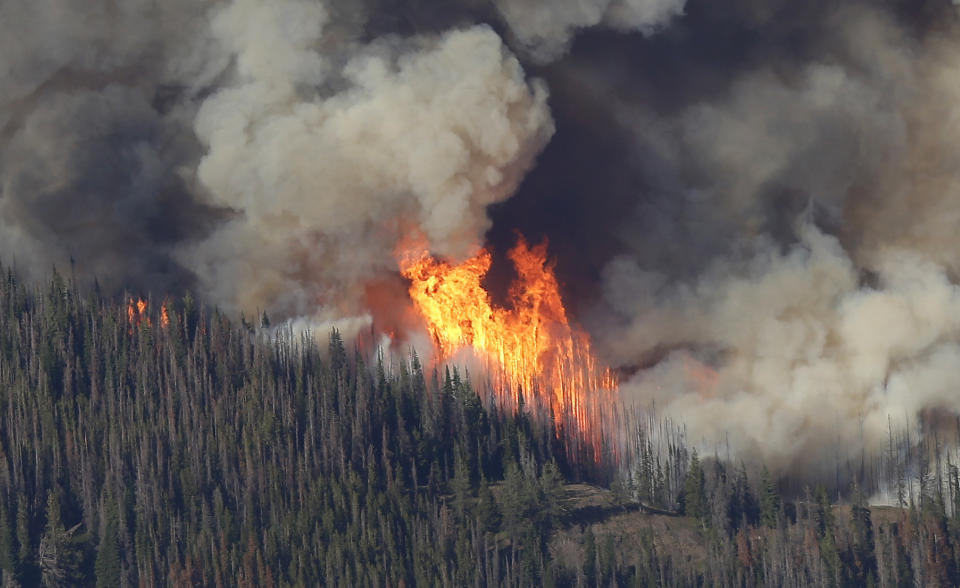 FILE - Flames burn trees in the Chiwaukum Creek Fire, as seen from the air, July 17, 2014, near Leavenworth, Wash. Climate change has amplified the threats faced by national forests in the U.S. from wildfires, insects and disease. (AP Photo/Ted S. Warren, File)