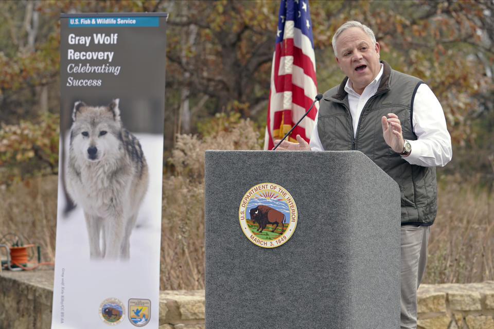 Interior Secretary David Bernhardt announces the gray wolf's recovery "a milestone of success" during a stop at the Minnesota Valley National Wildlife Refuge, Thursday, Oct. 29, 2020, in Bloomington, Minn. The move stripped Endangered Species Act protections for gray wolves in most of the U.S., ending longstanding federal safeguards and putting states and tribes in charge of overseeing the predators. (AP Photo/Jim Mone)