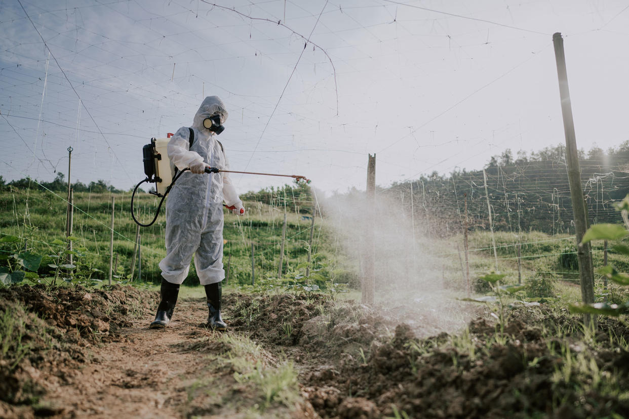 Farmer Spraying Chemicals Getty Images/Edwin Tan