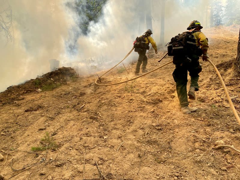 Firefighters carry hose during the Elkhorn Fire near Red Bluff