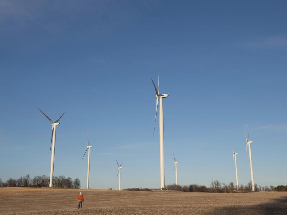  Quebec’s Environment Department is introducing new rules to mitigate the impact of wind farms on bats in the province.