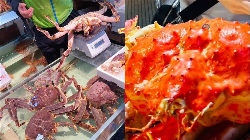 原PO去日本北海道函館吃帝王蟹，遇到老闆「活體掉包」。（圖／翻攝自 爆料公社）