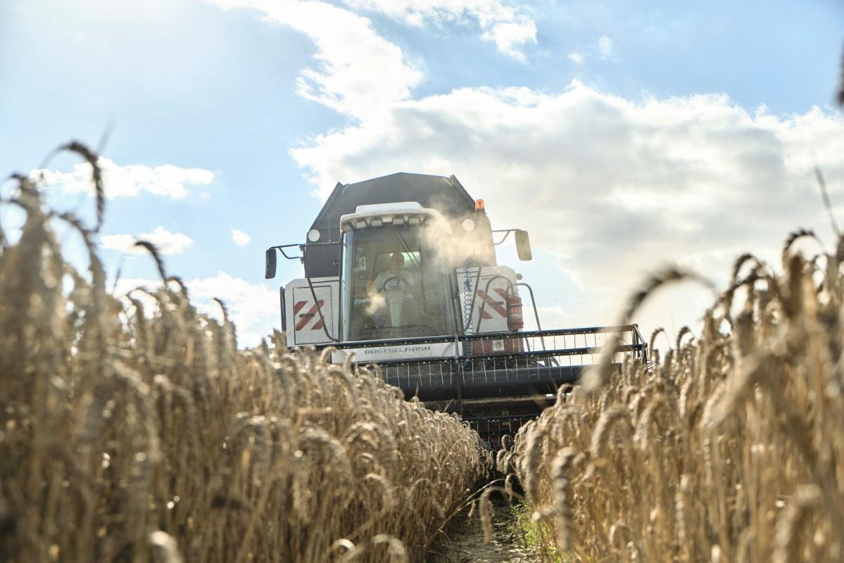 Polska przedłuża zakaz importu zbóż z Ukrainy i wywiera presję na Unię Europejską