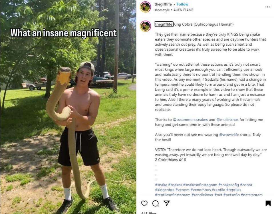 Chris Gifford has an Instagram and TikTok following with videos of him holding venomous snakes. This post says this was taken in Arkansas.