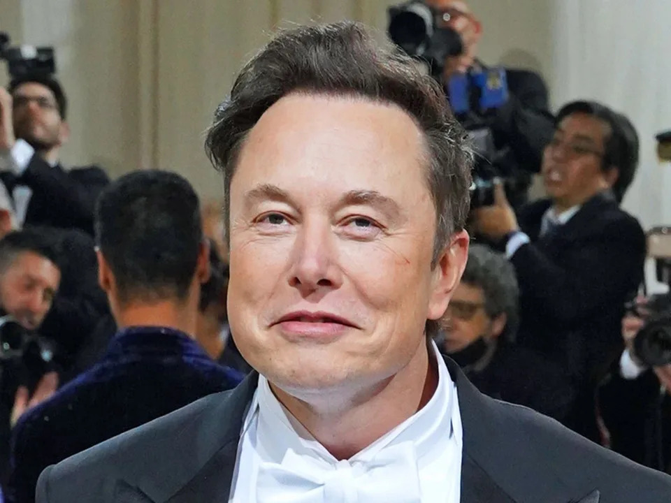 elon musk