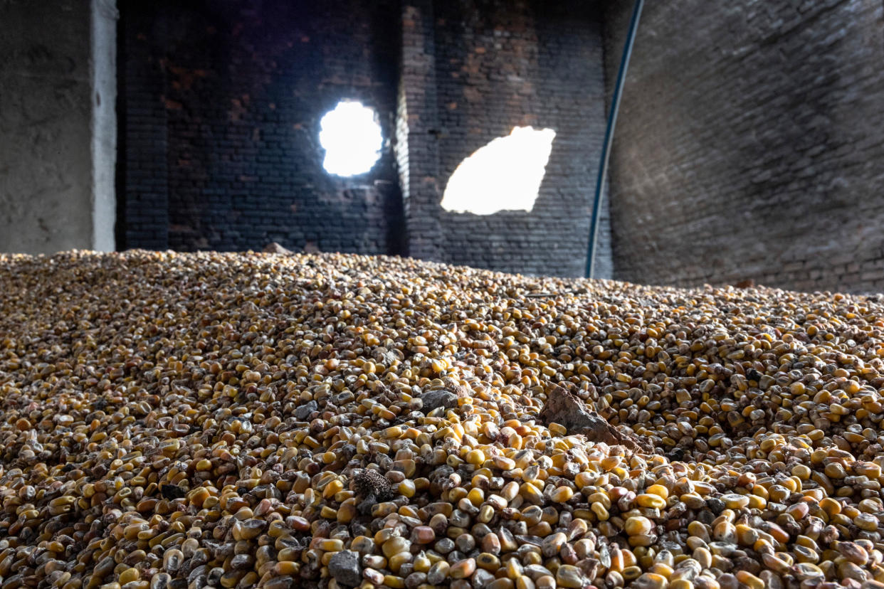 Corn lies scattered in a grain warehouse damaged by Russian tanks on May 14, 2022, in Cherkska Lozova, Ukraine. (John Moore / Getty Images file)