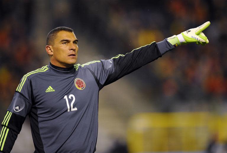 Colombia goalkeeper Faryd Mondragon during the football friendly against Belgium in Brussels on November 14, 2013