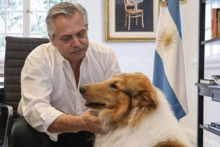 Alberto Fernández y su perro Dylan