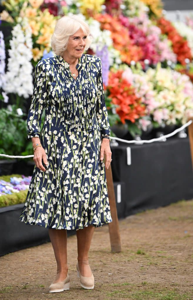 king charles iii and queen camilla visit the 2023 chelsea flower show