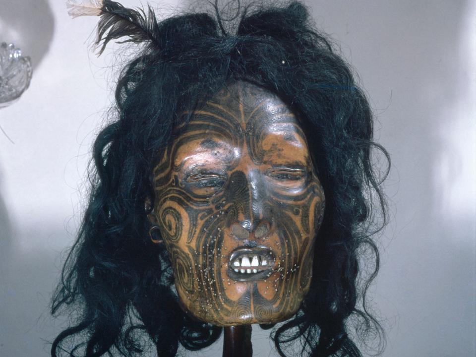 A preserved Maori head on display at a museum.