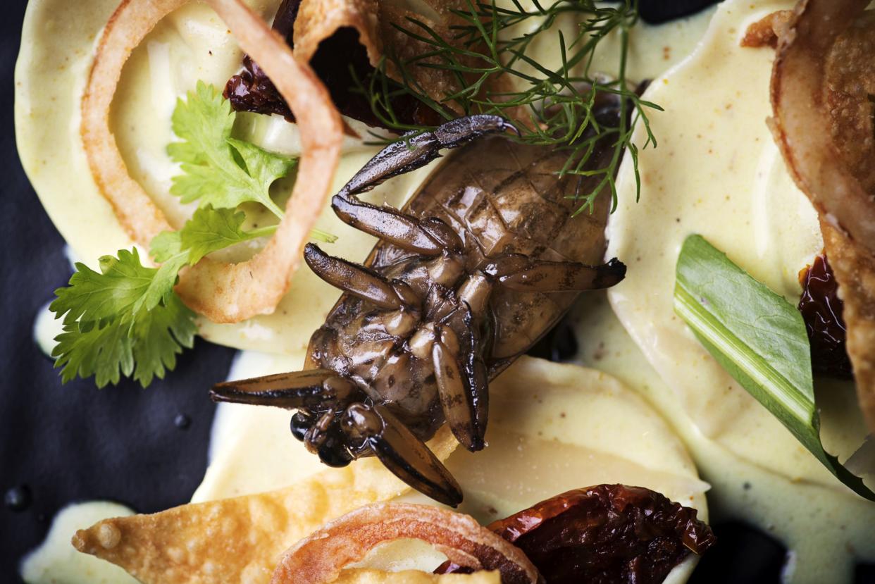 File photo: 'Crab and giant water beetle ravioli with tumeric and saffron sauce' is arranged for a photograph at Insects In The Backyard restaurant at Changchui market in Bangkok, Thailand, on Wednesday, Aug. 16, 2017. Insects in the Backyard is thought to be the country's first restaurant to look past the deep fryer and utilize the six-legged critters as fine-dining ingredients. (Photo: Bloomberg)